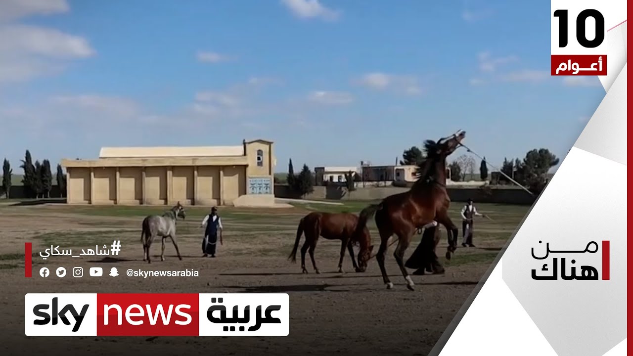 الخيول العربية.. فخر القبائل العربية في الجزيرة السورية | #من_هناك