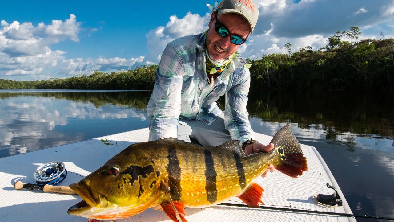RIO MARI&Eacute;  - The ultimate peacock bass fly fishing experience in Amazon.