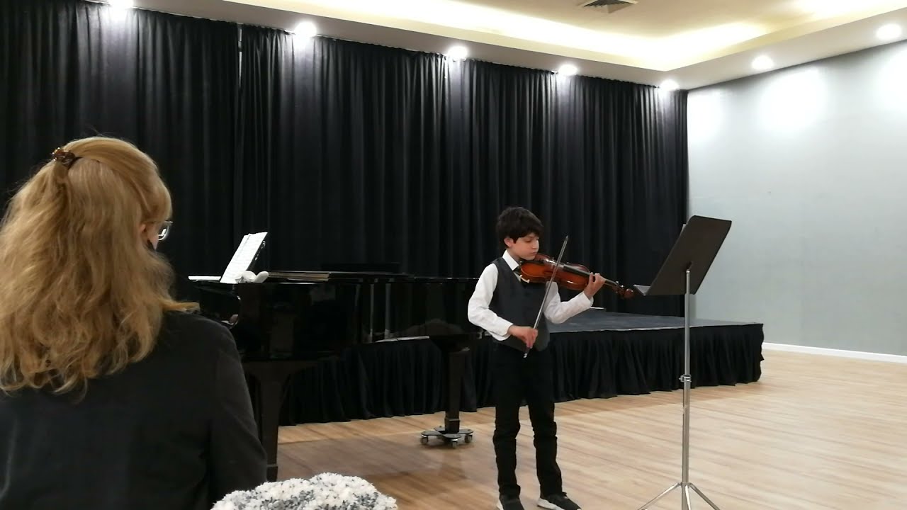 Vivaldi Violin Concerto in A Minor / 1st Movement Allegro RV356
