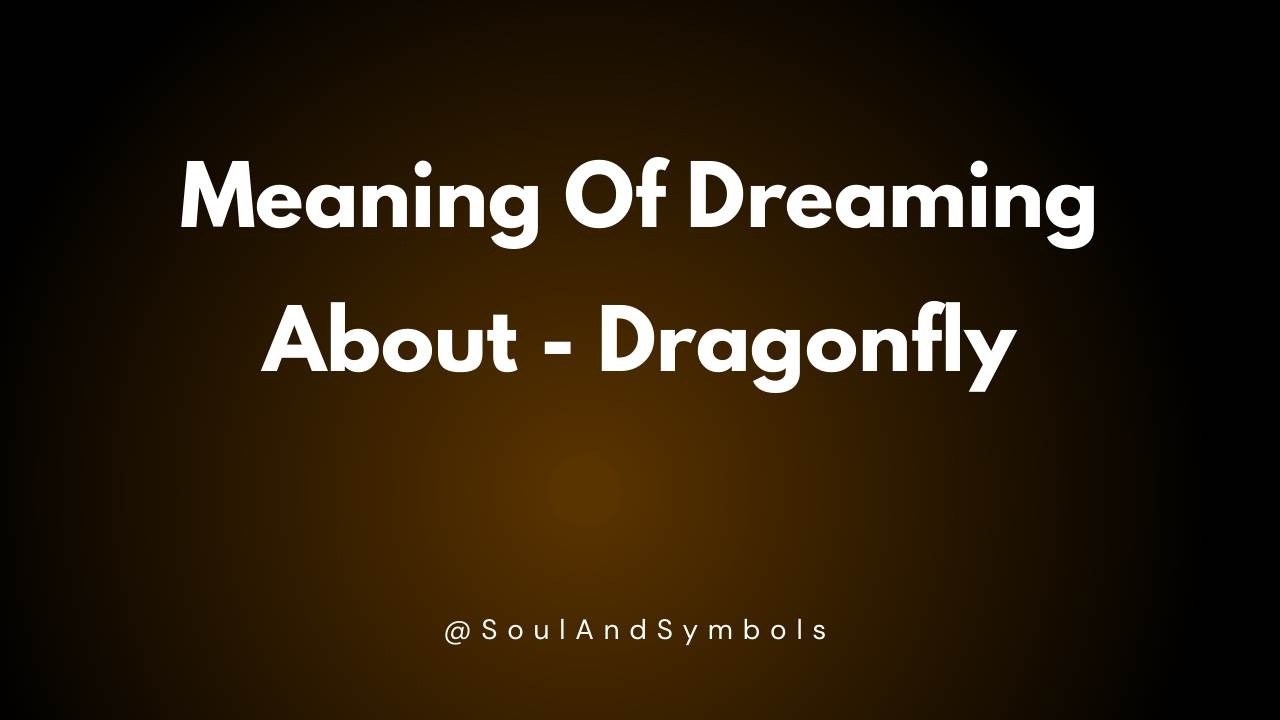 Meaning Of Dreaming About Dragonfly 🌙