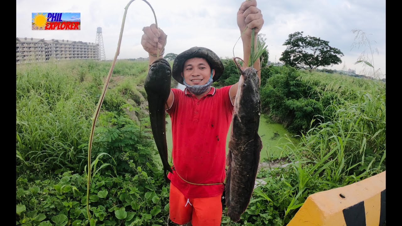SUPER effective BAIT & BIG FISH in SHALLOW WATER ( partII )