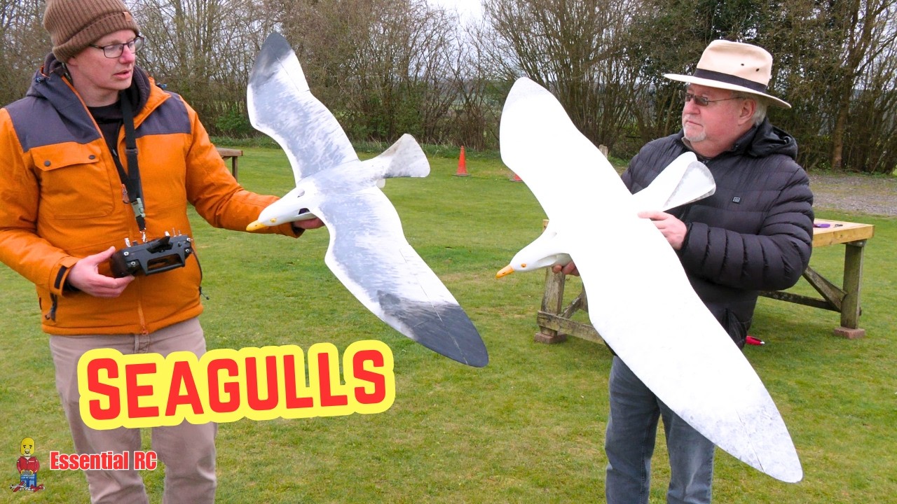 3D printed Radio Controlled (RC) SEAGULL 50mm EDF Jet | Bambu Lab H2S 3D Printer
