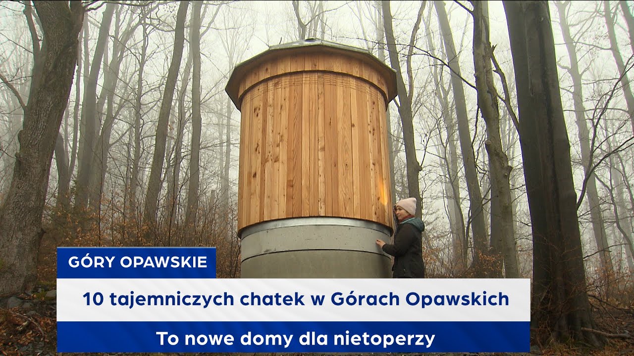 10 tajemniczych chatek w Górach Opawskich. To nowe domy dla nietoperzy
