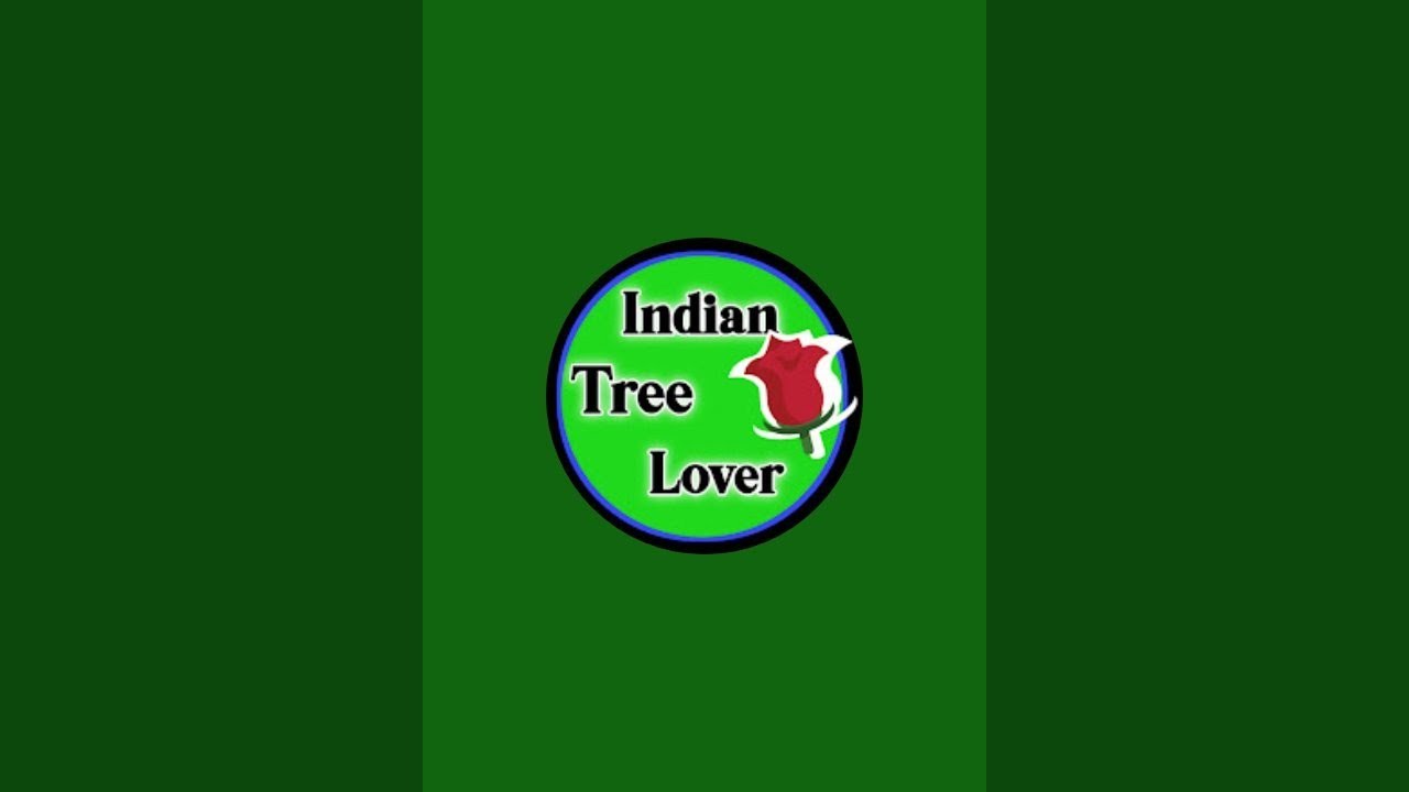 Indian Tree  Lover is live