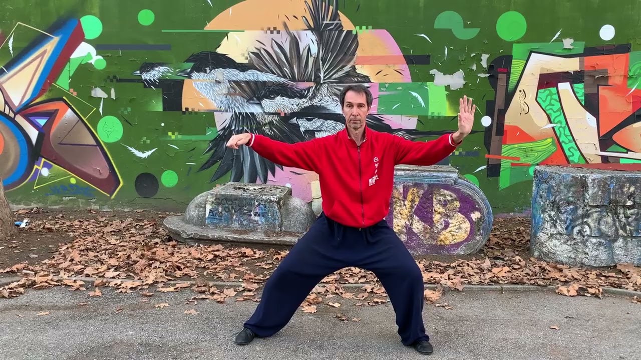 Xinjia yilu 1st set Chen style Taijiquan by Fabio Smolari