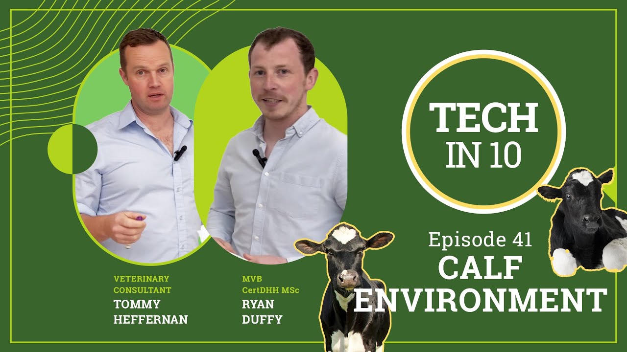 Tech in 10 - Episode 41: Calf Housing & Environment: What Really Matters for Calf Health