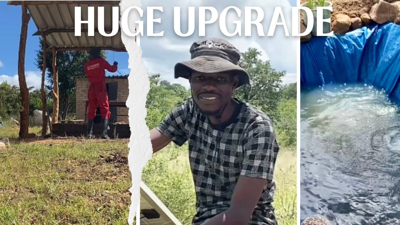 HUGE HOMESTEAD UPGRADE! Water Pump Installed + Pond & Kitchen Build
