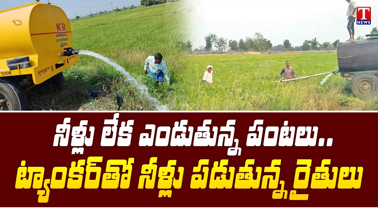 Water Shortage Hits Farmers Hard | Crops Wither Under Congress & Revanth Reddy Rule | T News