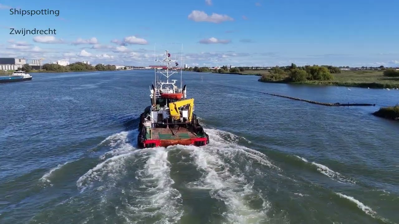 WILSON DAGENHAM, NH SERVER en LEVANTE