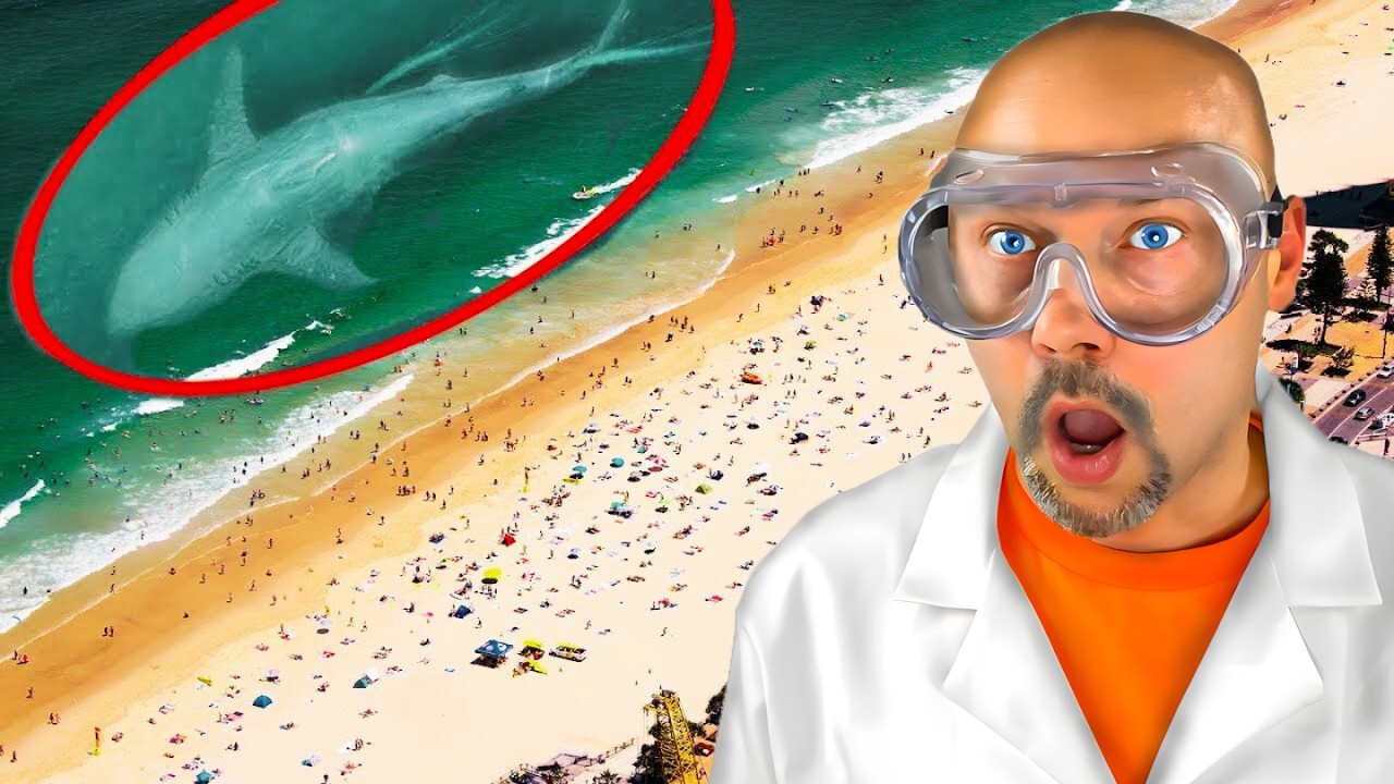 Proof the Megalodon EXISTS!