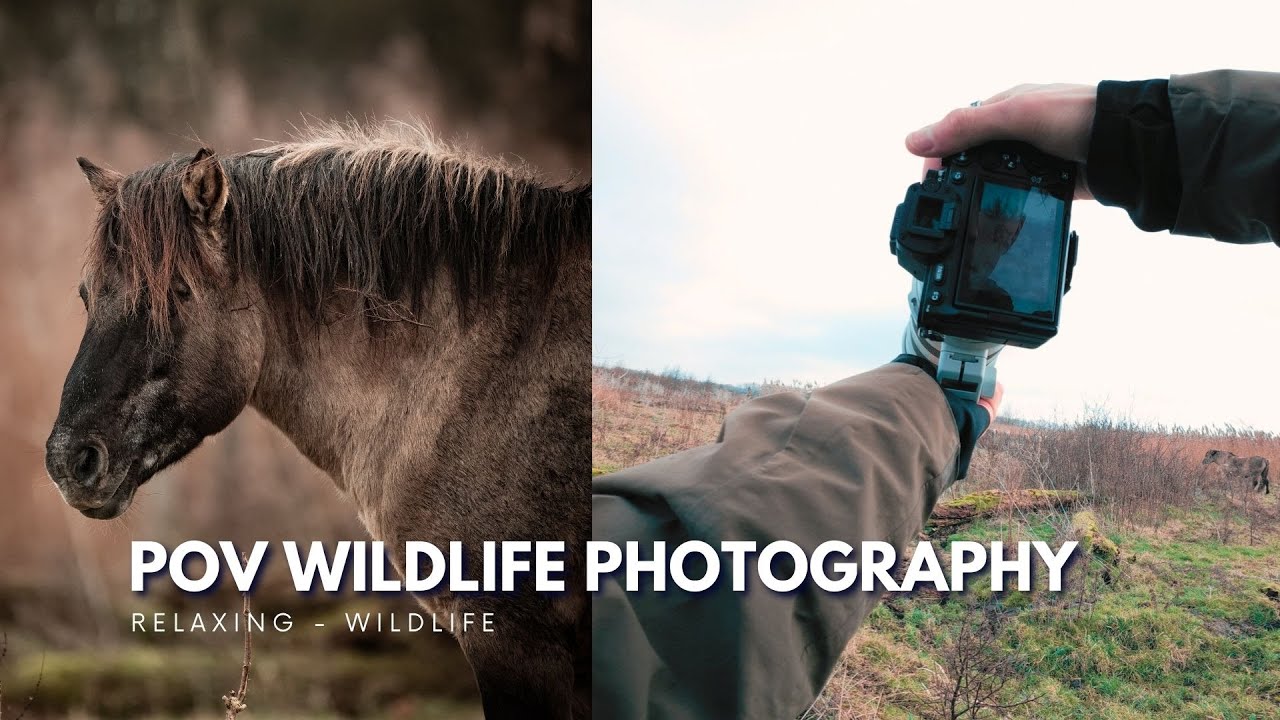 POV Chasing Wild Horses - no way that just happened…