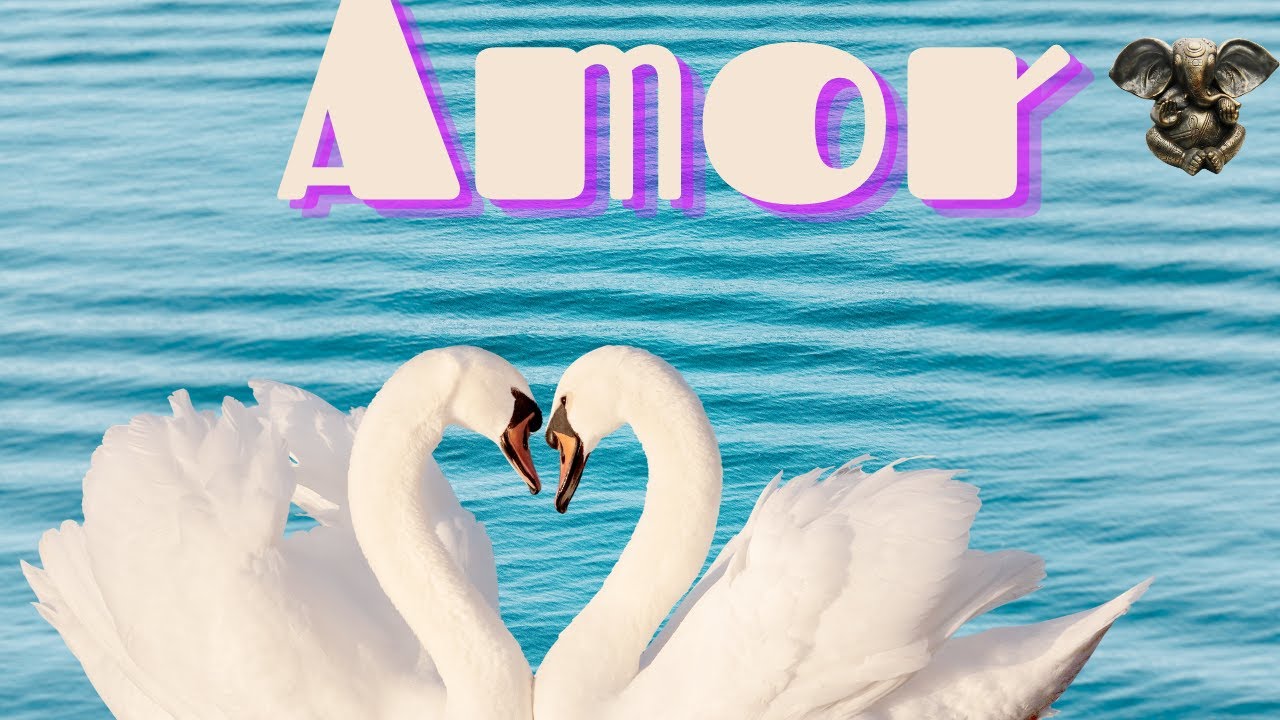 ESCORPIÃO♏️Amor💔Vc sofreu com decepções e mentiras🥂Aceite o novo✨Mas seja consciente💌Atemporal