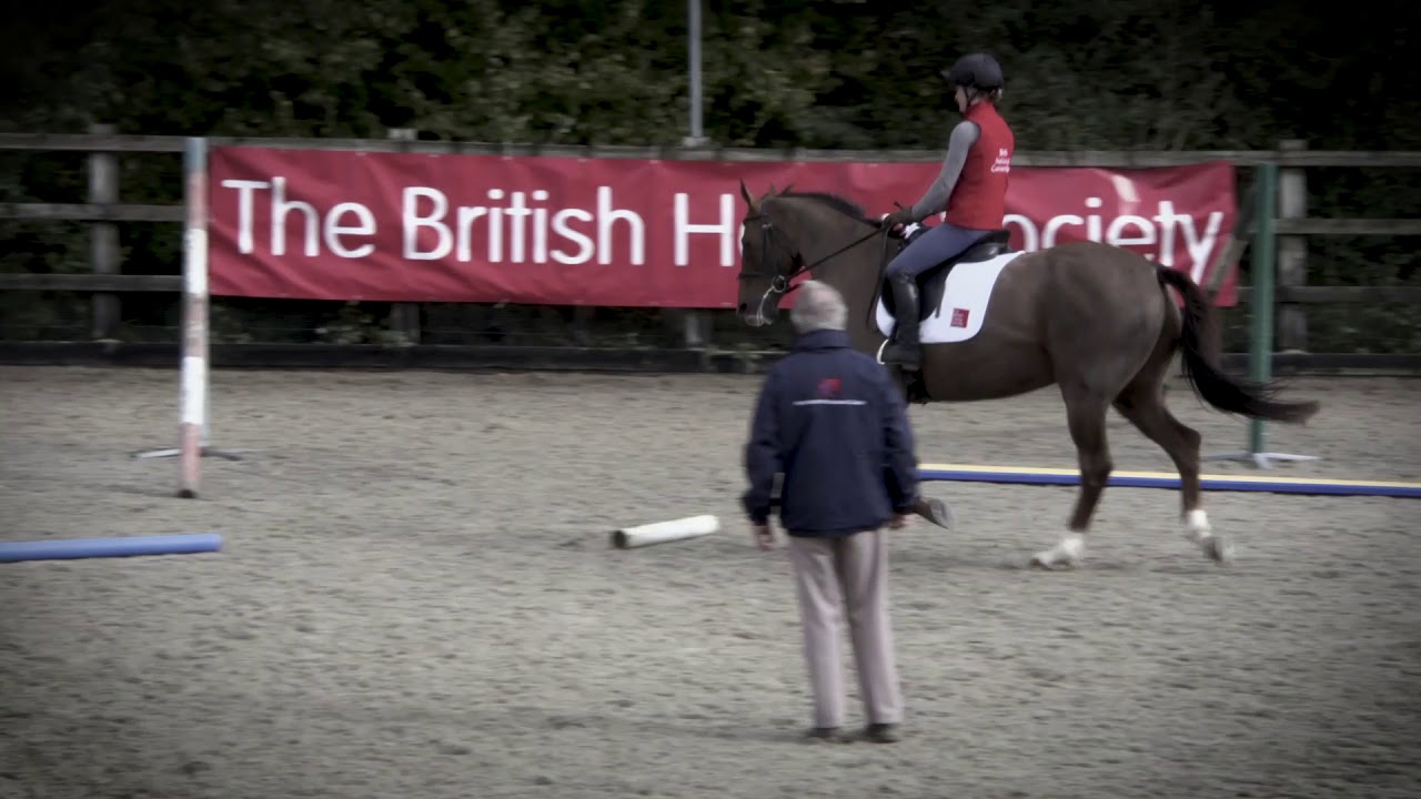 The Masters Series - from the British Horse Society