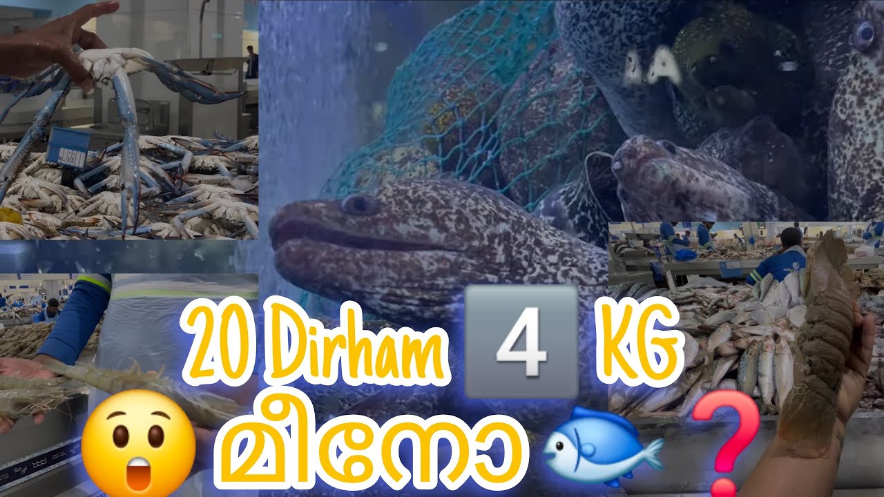 ഇത്രയും വിലക്കുറവിൽ മീൻ എവിടെയും കിട്ടില്ല. ❓#yt#food#fish#dubai#shortsfeed#short#ytshorts#shortsfee