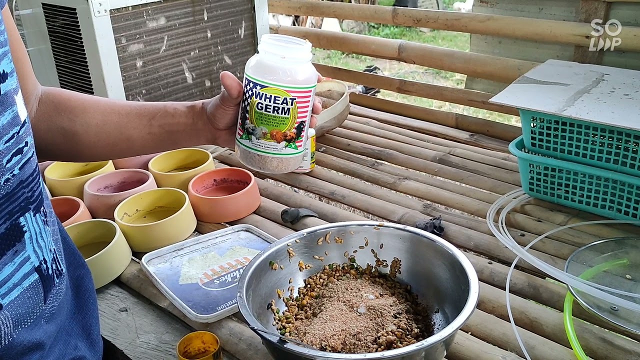 Conditioning Feed Mixture like a boss (RJS CROCS GF)