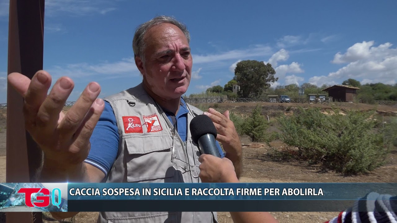 CACCIA SOSPESA IN SICILIA E RACCOLTA FIRME PER ABOLIRLA