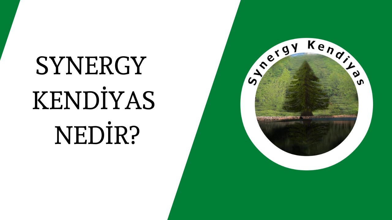 SYNERGY KENDİYAS NEDİR ? | Synergy Kendiyas |