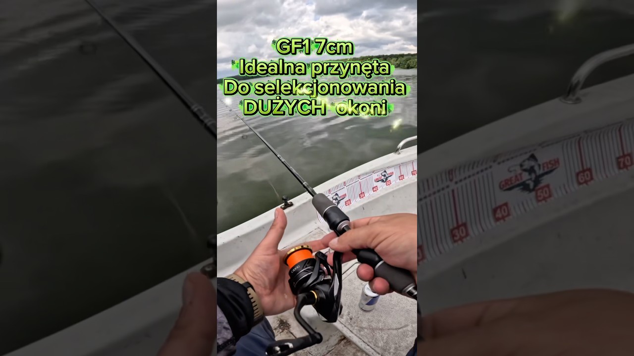 GF1 7cm to idealna przynęta do selekcjonowania dużych okoni🔥 #fishing #wedkarstwo #greatfish #perch