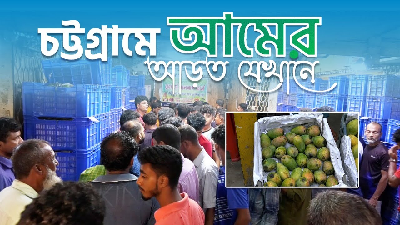 চট্টগ্রামে আমের পাইকারি আড়ত যেখানে | Mango Market In Chittagong | Chittagong Live