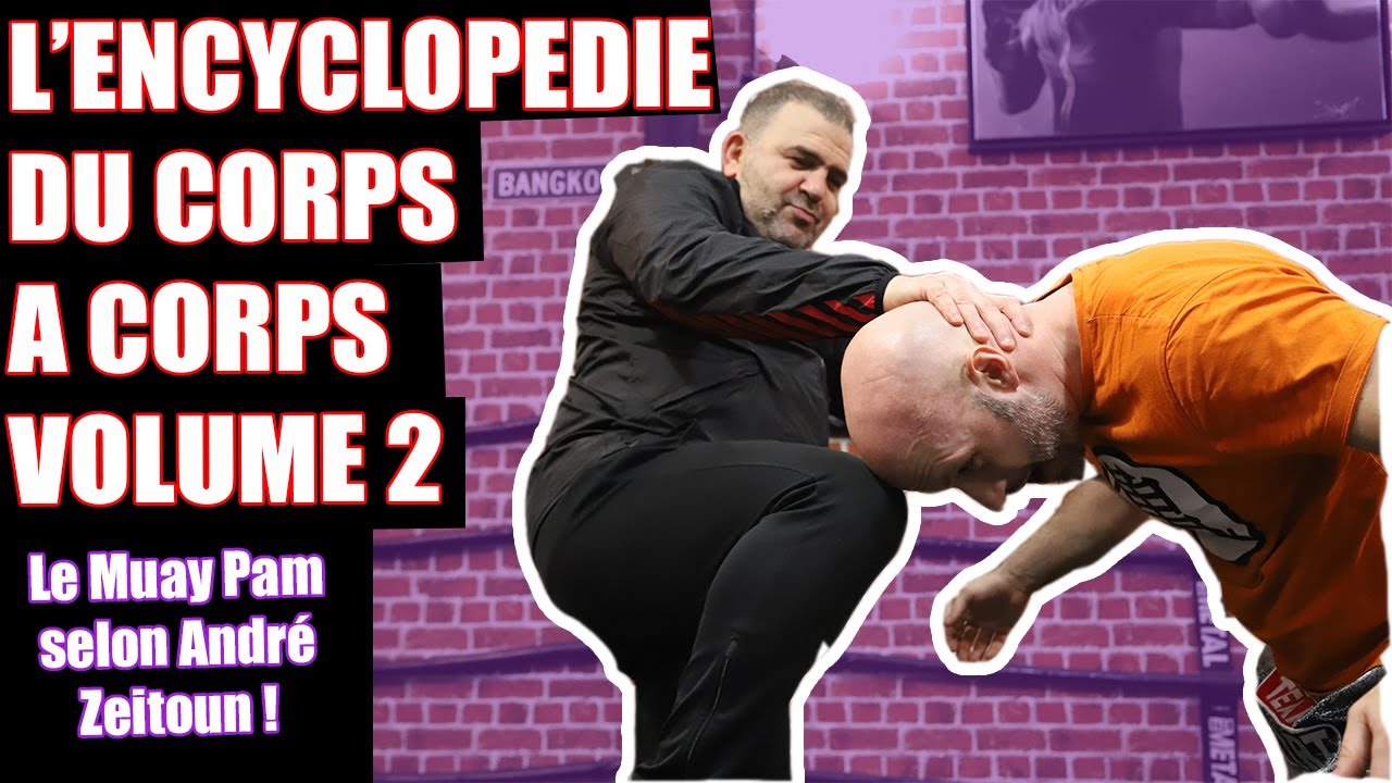 LES DIFFERENTS TYPES de SAISIE EN CLINCH et CORPS à CORPS !