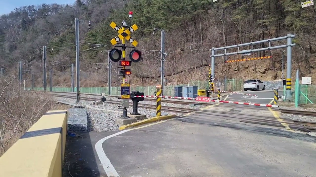 충북선 삼탄건널목 시멘트열차 정기화물열차 전기기관차 #3132 #3125