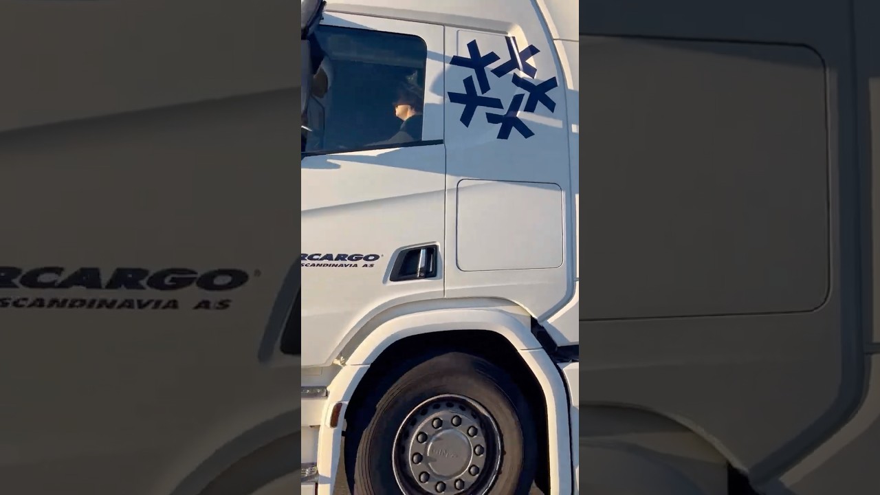 Everyday European Truck in Traffic | Satisfying Truck Footage