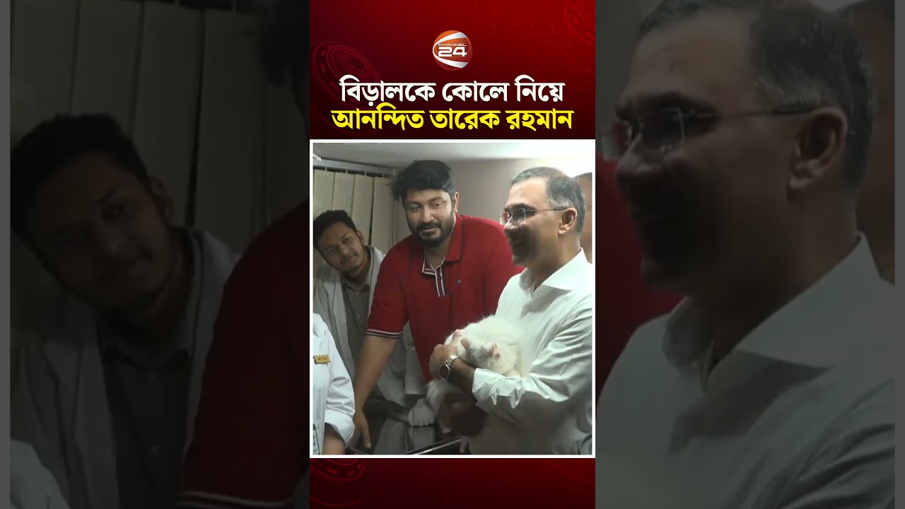 বিড়ালকে কোলে নিয়ে আনন্দিত তারেক রহমান #TariqueRahman #Channel24