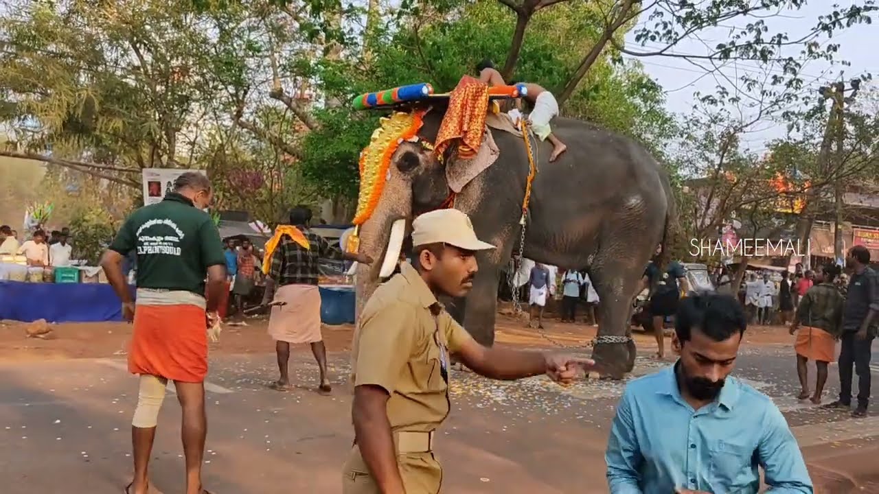 ചാലിശ്ശേരി പൂരത്തിന് ചീരോത്ത് രാജീവ് 2024 Chalisseri Pooram | ചെക്കൻ ഒന്ന് പിണങ്ങി l Cheeroth Rajeev