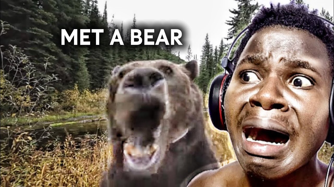 Craziest Animal Encounters