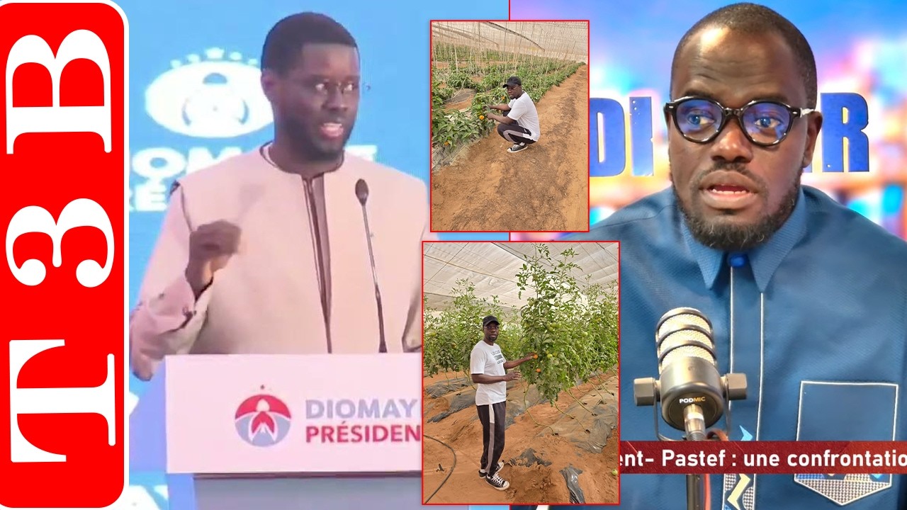 « Diomaye amoul lecture politique… » Moustapha Mbaye réagi sur la réponse politique de Sonko 