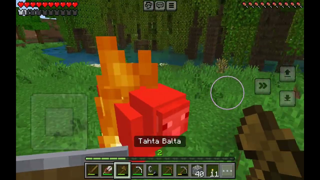 Kardeşimle minecraf
