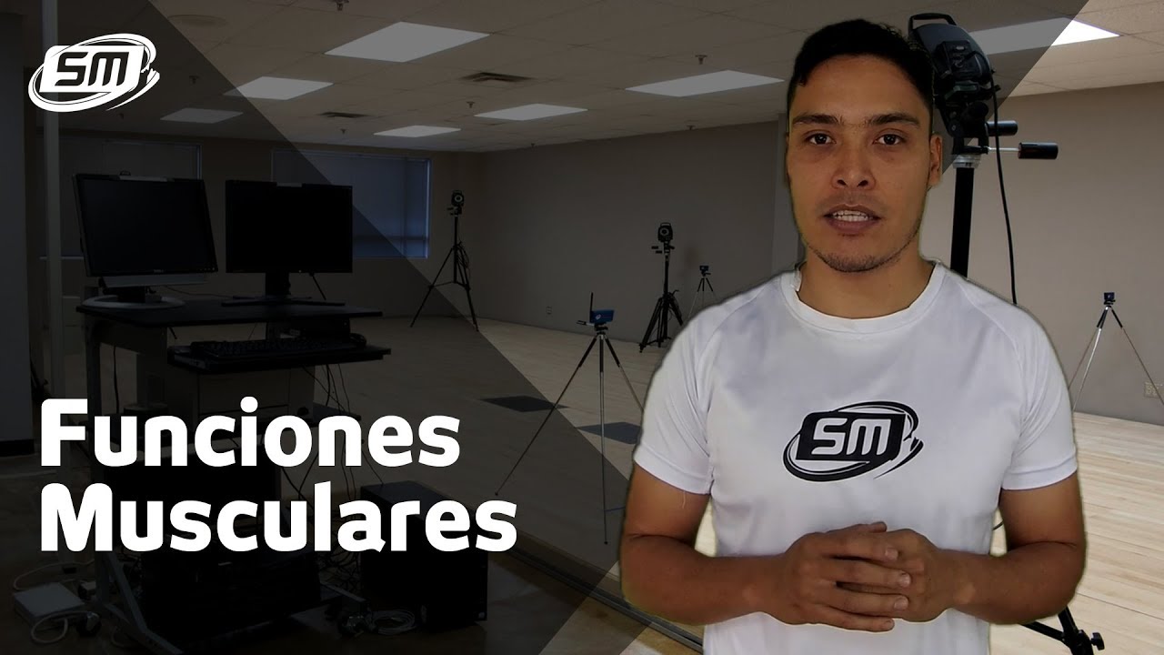 Biomecánica deportiva y funciones musculares