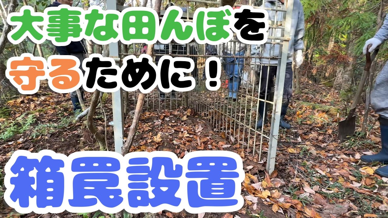 大事な田んぼを守るために害獣対策のための箱罠を設置しました！