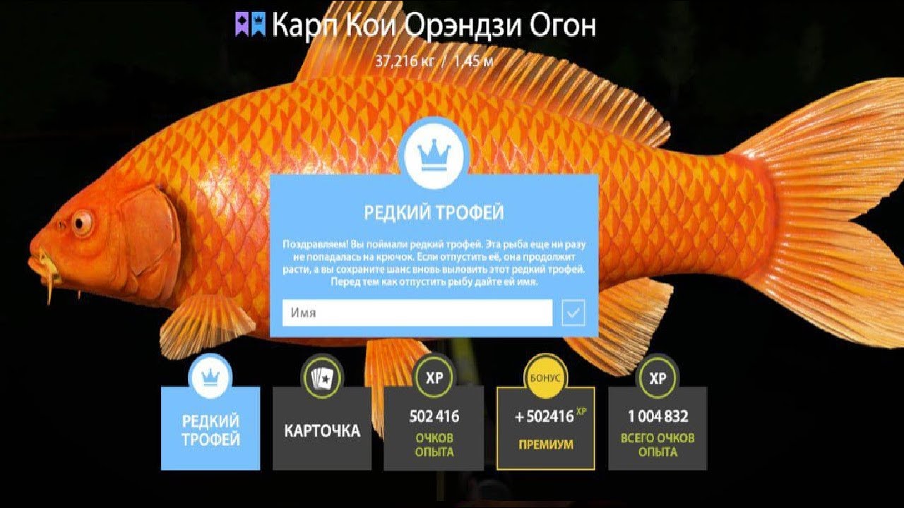 ПРОВЕРЯЕМ ФАРМ СЕРЕБРА и КОИ на МЕДНОМ,ТРОЛЛИНГ на МОРЕ и УСАЧ,ТАЙМЕНЬ РУССКАЯ РЫБАЛКА 4 РР4