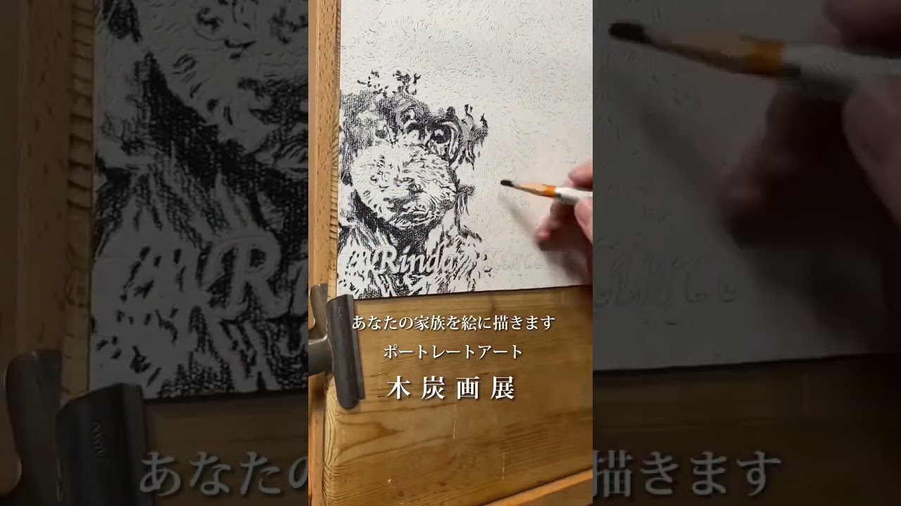 #トイプードル #toypoodle