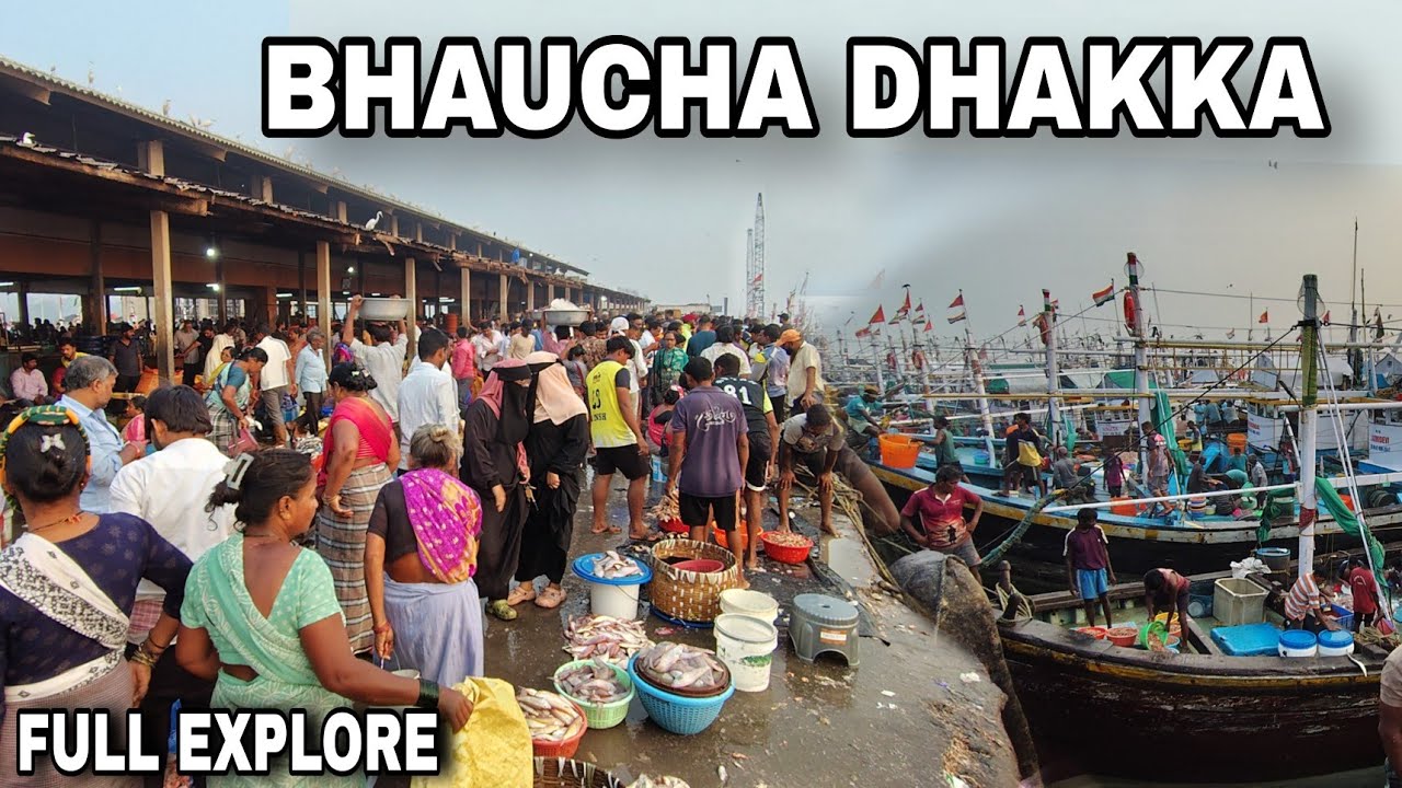 Mumbai's Craziest Fish Market!🐟Bhaucha Dhakka Full Experience | Morning Vlog