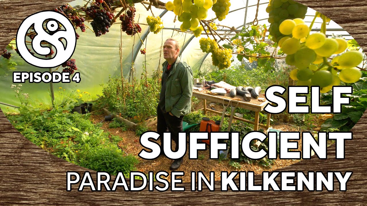 Brian Dillon's Homestead | Bosco's Garden Tour | Ep4