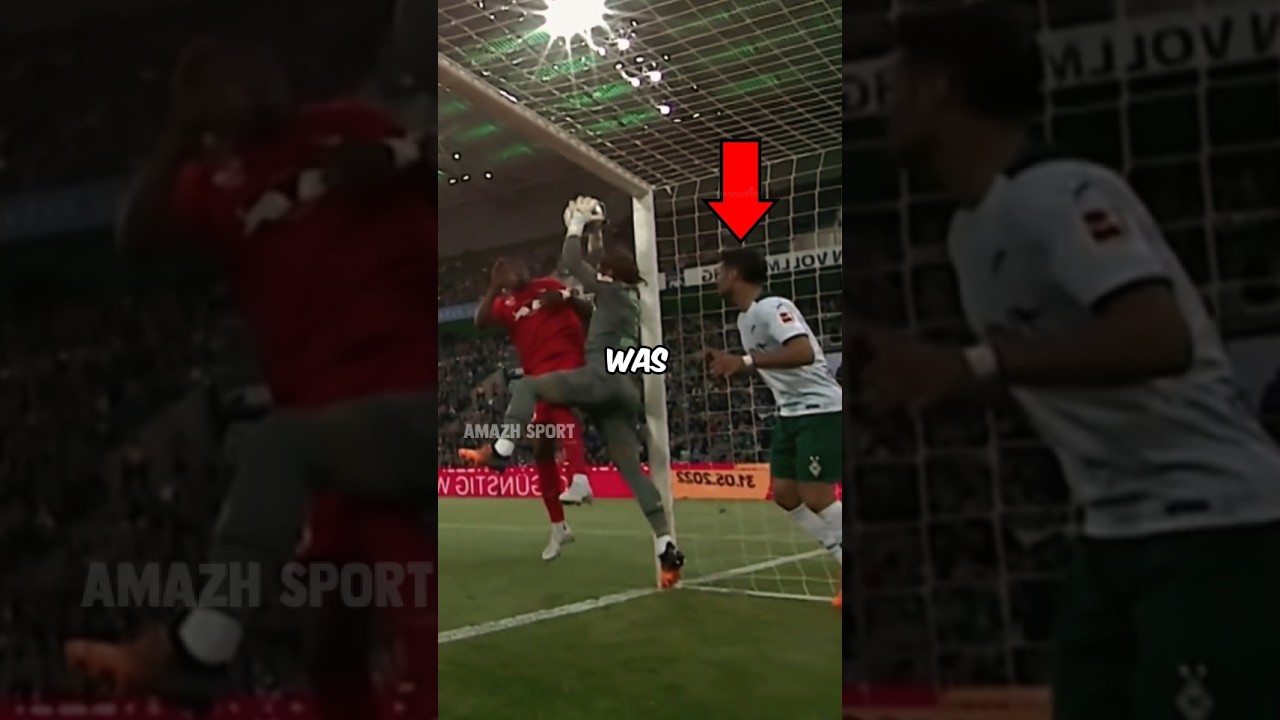 This goalkeeper almost entered the goal with the ball