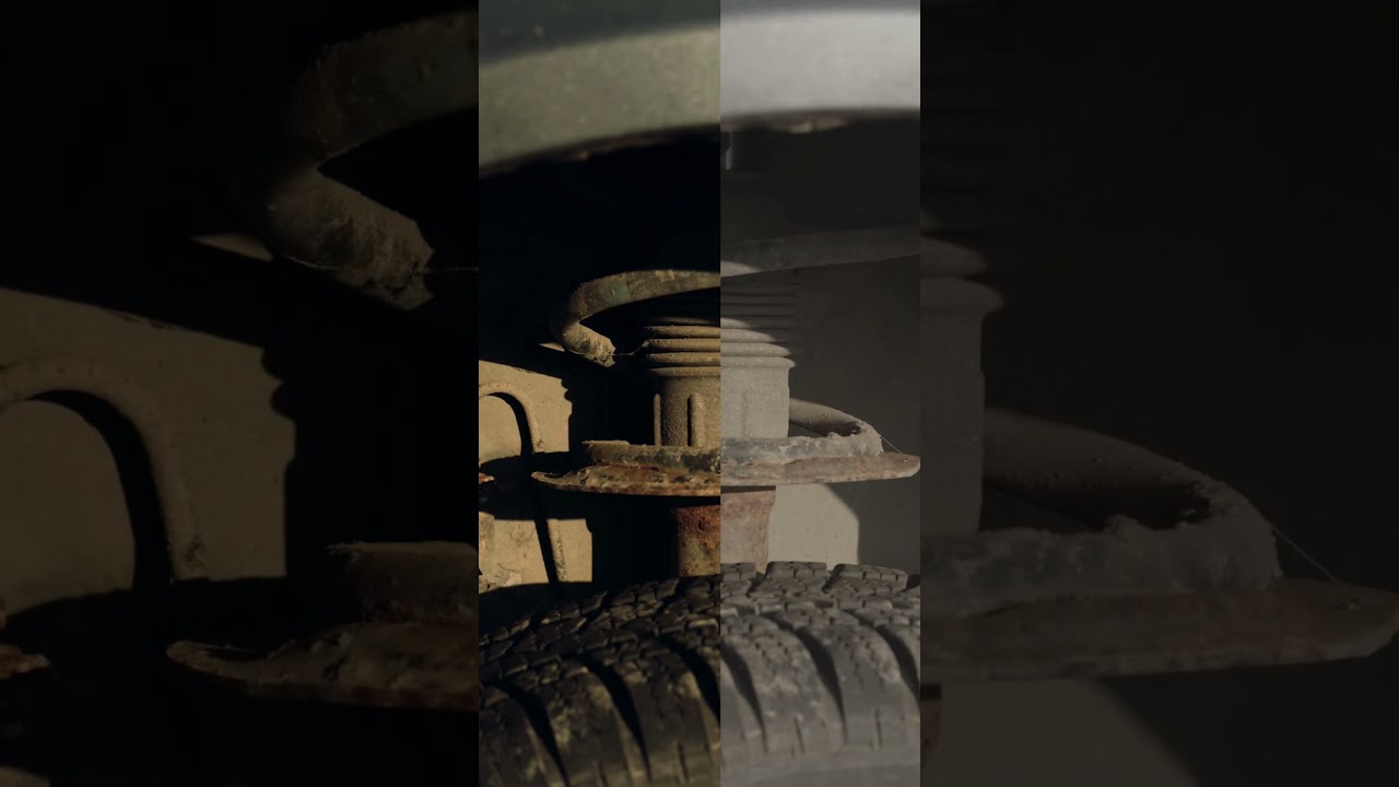 C Log3 Cinema Gamut, What do you think? #filmmaking #cinematic