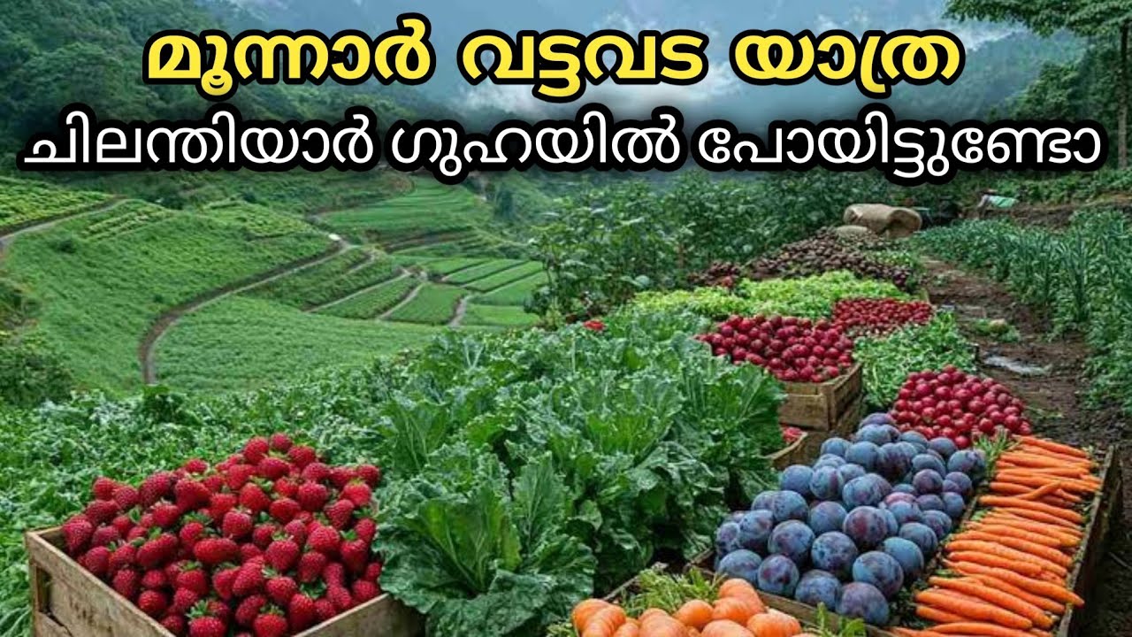 മൂന്നാർ വട്ടവട / ചിലന്തിയാർ ഗുഹ കാണാൻ പോയാലോ... #munnar #vattavada #travel