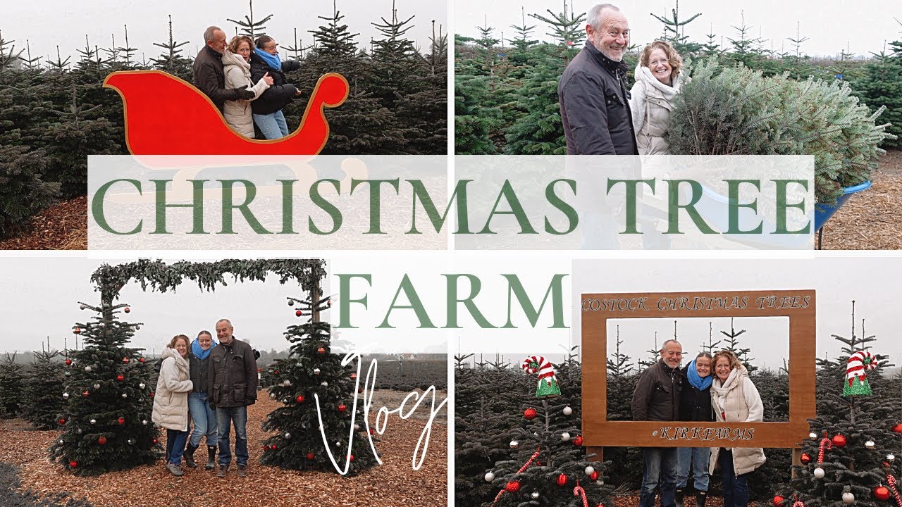 Picking out a Christmas tree! | Wholesome family vlog visiting a Christmas tree farm