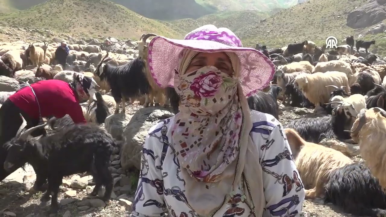 Sağım için zorlu yolları aşıyorlar