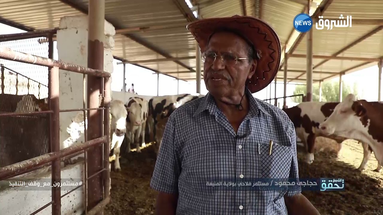 جنة #المنيعة المحرومة من المياه 