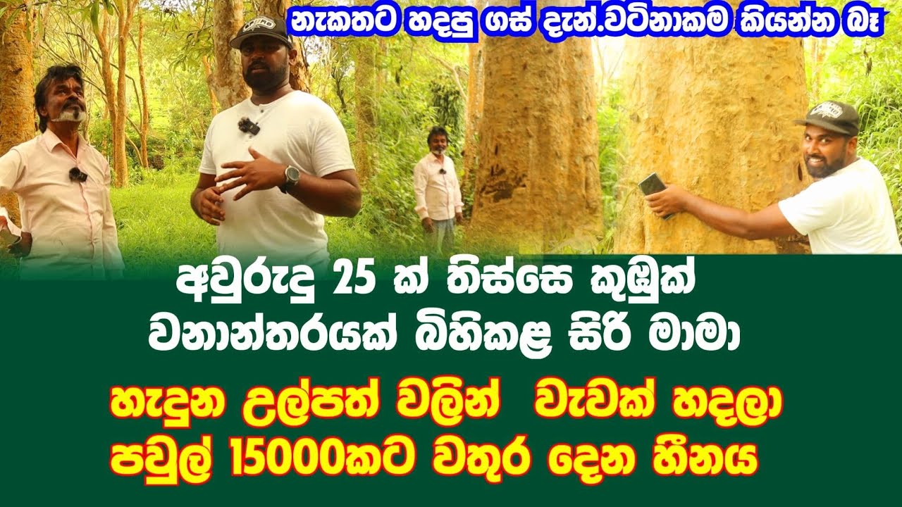 අවුරුදු 25 ක් තිස්සෙ මහා කුඹුක් වනාන්තරයක් බිහිකළ සිරිමාමා , වටිනාකම කියලා නිමකරන්න බෑ