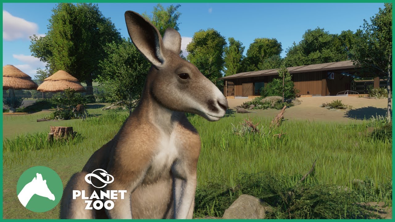 Red Kangaroo Habitat + Africa Pack Discussion | Elm Hill City Zoo | Planet Zoo