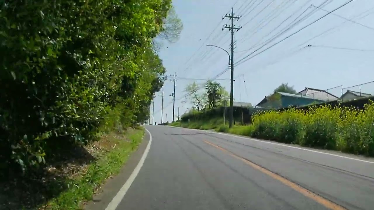 【森林浴ドライブ】千葉県立野通り【車載動画】