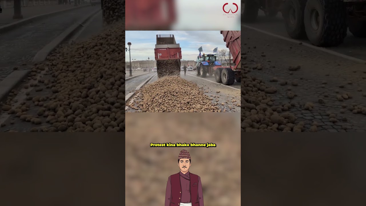 Farmers Dump Potatoes Outside French Parliament 