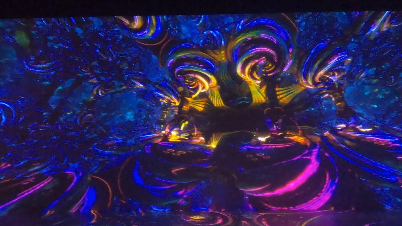 TRIPPING Solo on Magic TRUFFLES at the NXT Museum - Amsterdam (Part 3)
