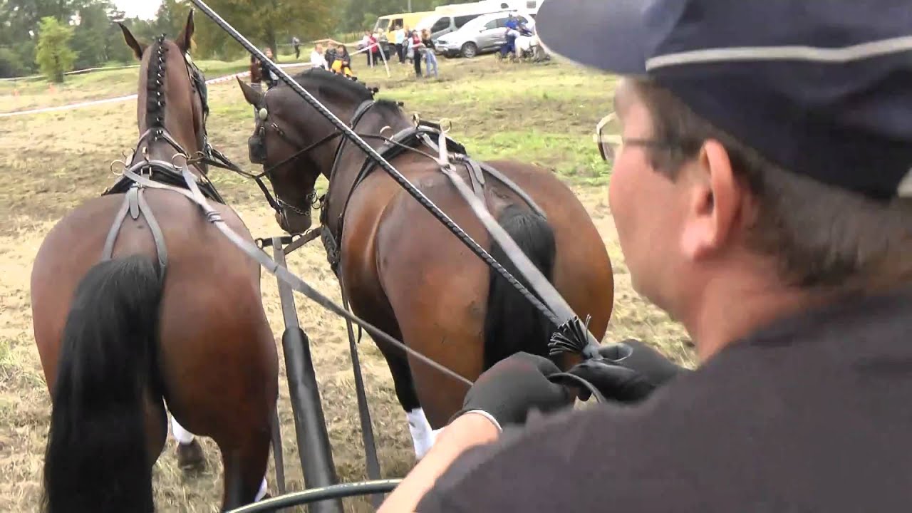 Zawody w powożeniu - Błonie, 11 września 2010 r