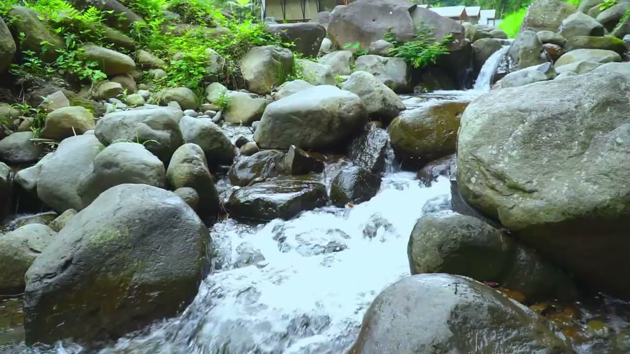 Peaceful & Calm River Sounds for Studying and Focus | Peaceful Water Flow Sounds